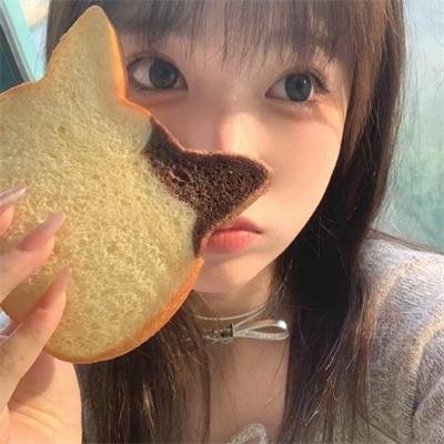 片警宝音
