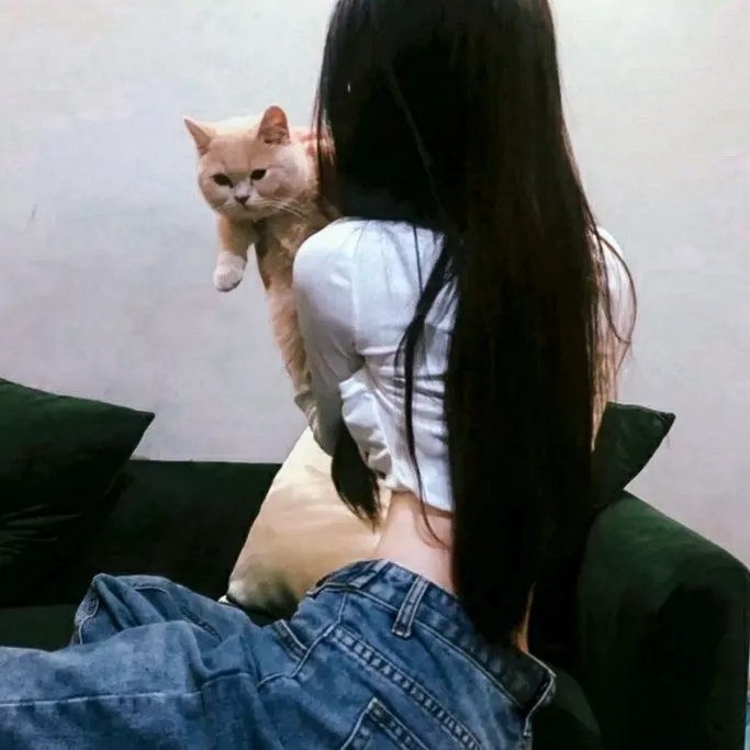 权力界